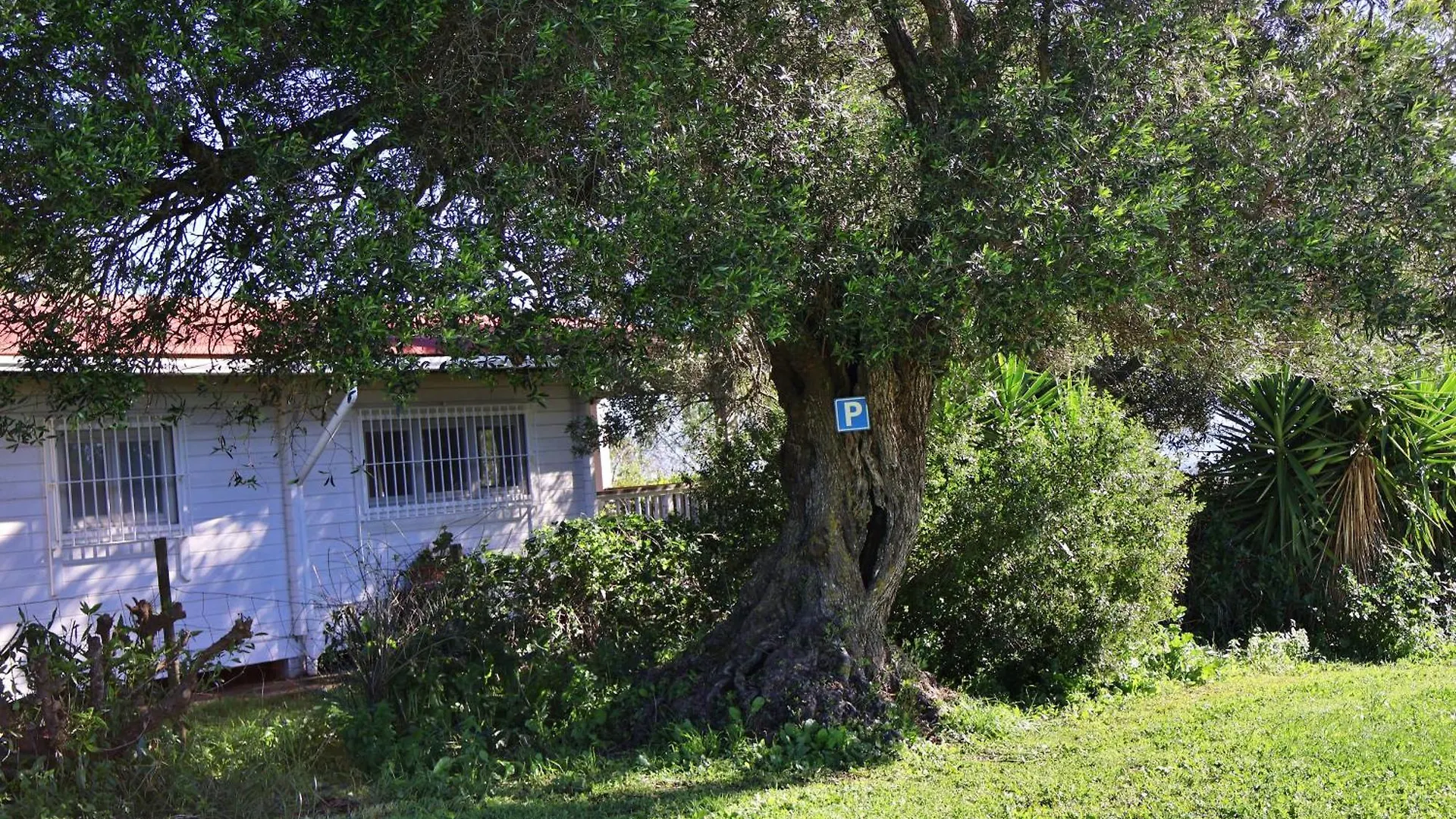 Casa Rural La Zarzamora Vejer de la Frontera 0*,  Hiszpania