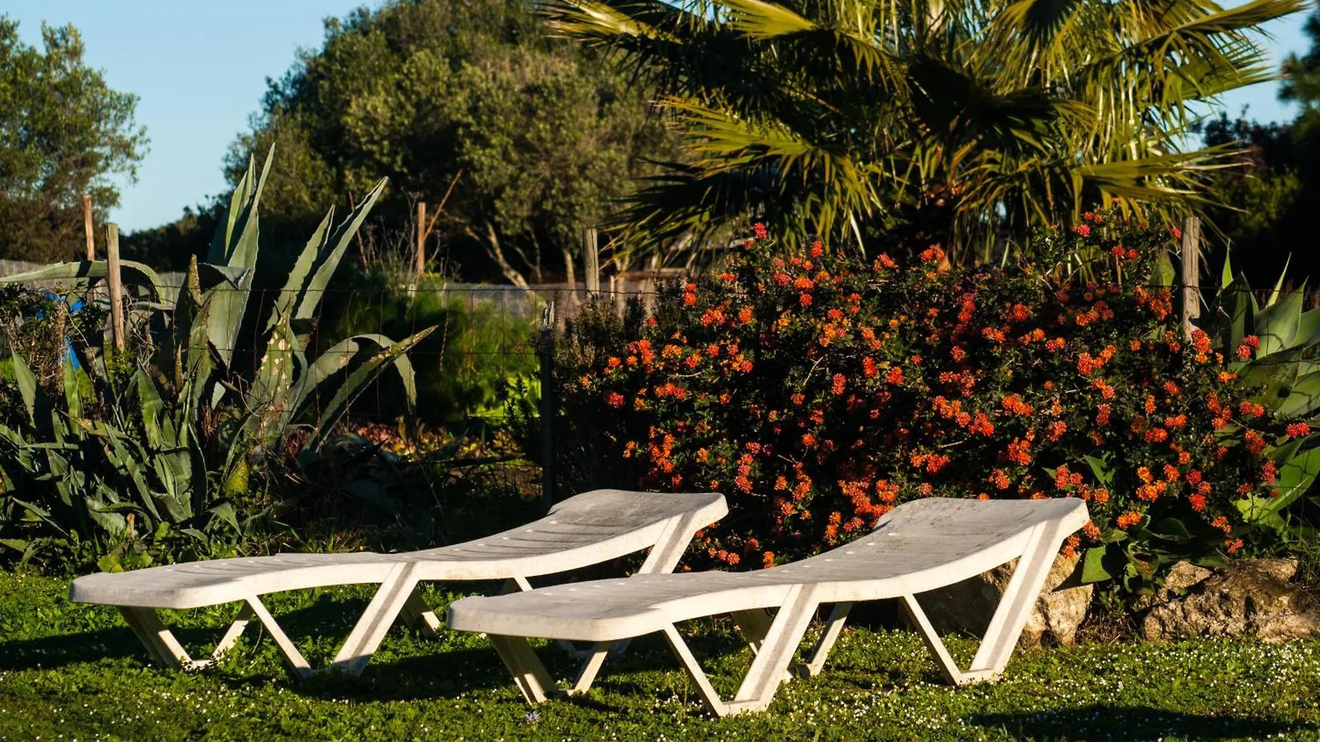 Country house Casa Rural La Zarzamora Vejer de la Frontera
